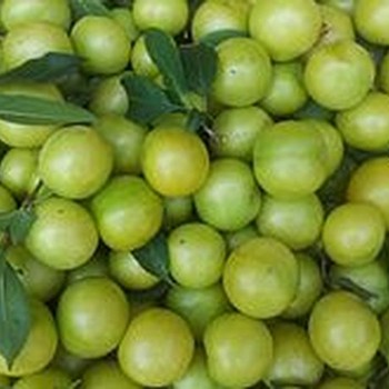 Ałycza